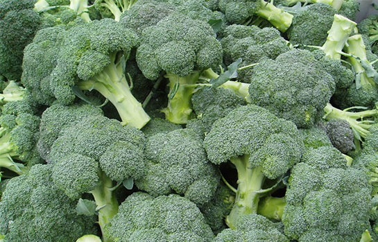 Brokoli Kr Prostat