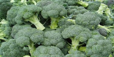 Brokoli Kürü Prostat